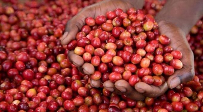 Rwanda to host the World Coffee Forum in 2023