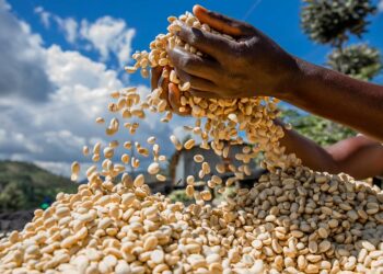 Agro-exports make a turnaround 2021/22