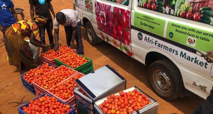 Afri-farmers, a social enterprise link farmers to stable markets