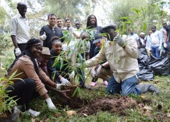 Kenyan government declare tree planting holiday