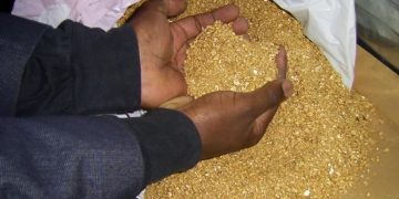 Africa Loses Billions as Gold Smuggling Flourishes