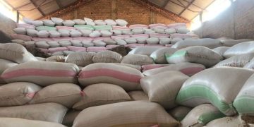 President’s Comment Spurs Solution to Bugarama Rice Crisis