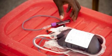 WHO Delivers Emergency Blood Supply to War-Affected Communities in Eastern DRC