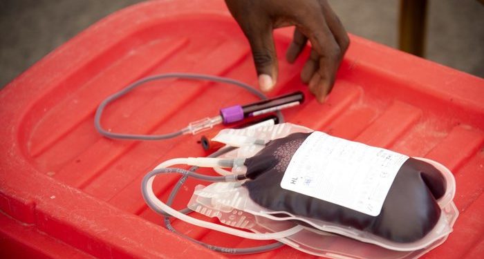 WHO Delivers Emergency Blood Supply to War-Affected Communities in Eastern DRC