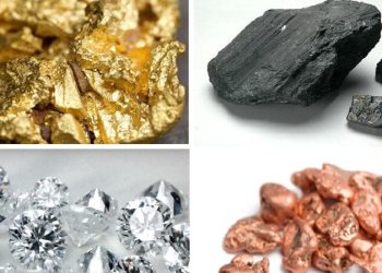 US in Early Talks with DR Congo Over Minerals-for-Military Support Deal