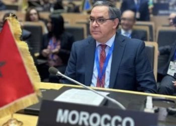 Private: Présidence marocaine du CPS : Consultations informelles avec les pays en transition politique.