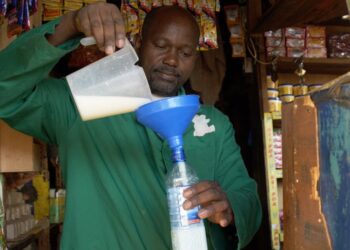 Kenya: Counties Join Forces to Reform Informal Dairy Sector