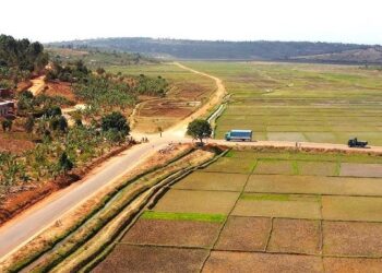Feeder Roads Transform Lives of Farmers in Gatsibo District