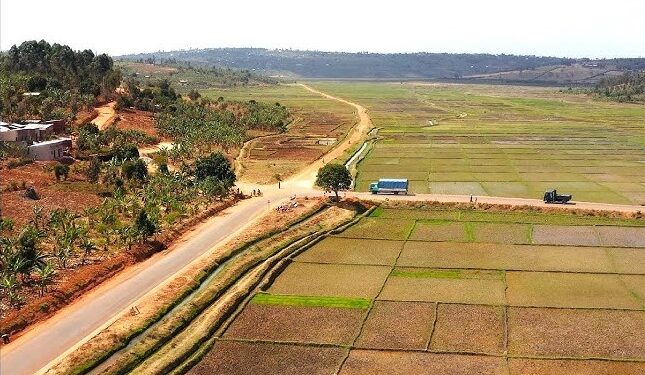 Feeder Roads Transform Lives of Farmers in Gatsibo District
