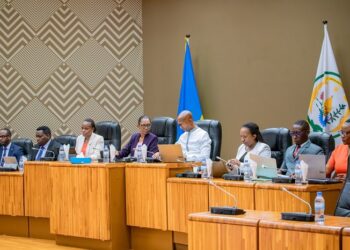 Rwandan Lawmakers Approve New Taxes, Debate Jail Time for Tax Evasion