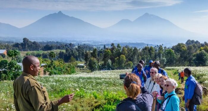 Rwanda Targets $1.1 Billion in Annual Tourism Revenue by 2029