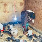 Esther Mukamurigo with her chicken farm in Kabagari sector