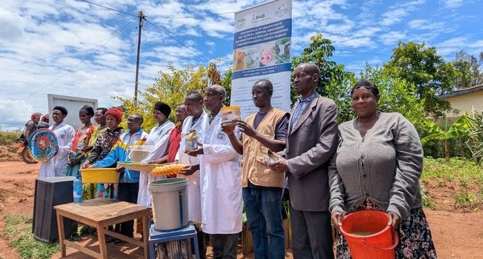 PRISM Project Beneficiaries Sustain Gains Through Affordable Feed Innovations