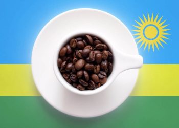Rwandan coffee places in top five at global tasting competition in U.S.