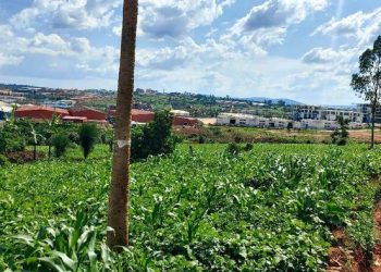 Senators flag environmental risks, worker hardships in Kigali industrial zone