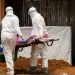WHO hails recovery of five Ebola patients as virus cases rise