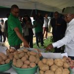 How Innovation is Turning Ideas into Business at 19th Agriculture Expo