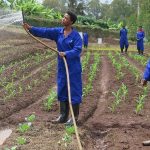 Irrigation_hand