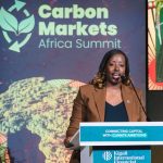 KIFC roadmap puts investment readiness at centre of green finance push Hortense Mudenge, the CEO of KIFC