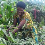 Financial Equality for Africa’s Women Farmers