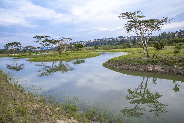 Rwanda celebrates World Wetlands Day calling for conservation