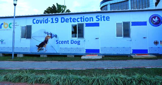 Police, RBC in pilot phase using sniffer dogs to detect Covid-19