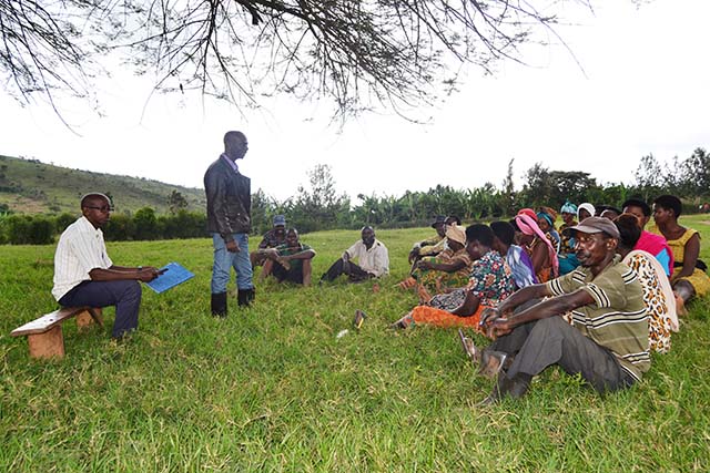 Knowledge exchange spurs smallholder agriculture development in rural Rwanda