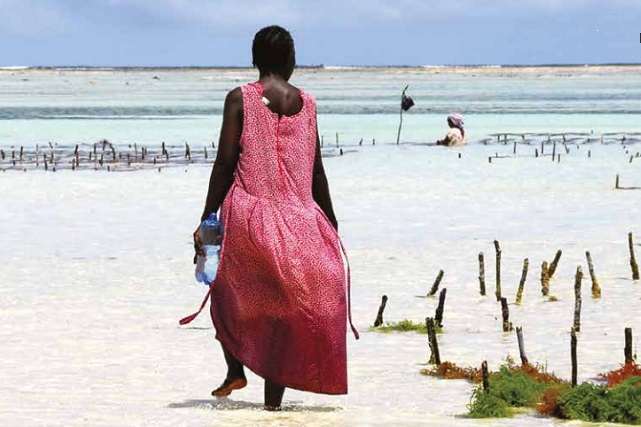 Large Scale Climate Protection Actions Needed as Africa Rapidly Warms, Experts warn