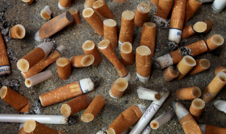 WHO raises alarm on tobacco industry environmental impact