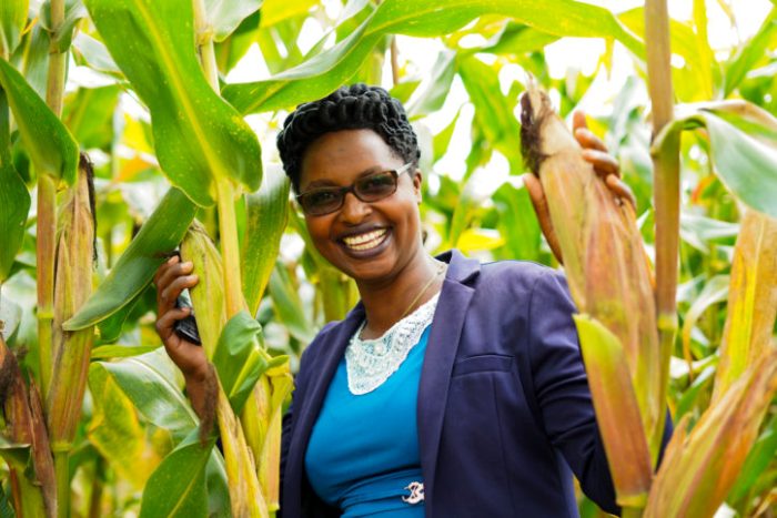 Maize farmers reap greater benefits, thanks to the multi-channel methods