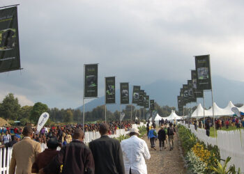 Kwita Izina set to return to big crowds in Kinigi