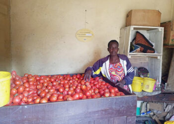 Skyrocketing commodity prices leave Rwandan families at the crossroads 