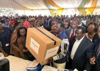 Odinga challenges presidential poll results in court
