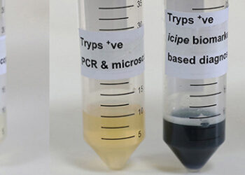 Scientists develop test to diagnose deadly African animal trypanosomosis