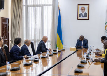 Premier Ngirente receives Turkish investors, Doğuş Group