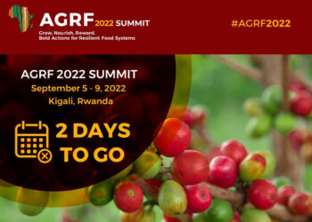 Activists urge end to the failed Green Revolution in Africa