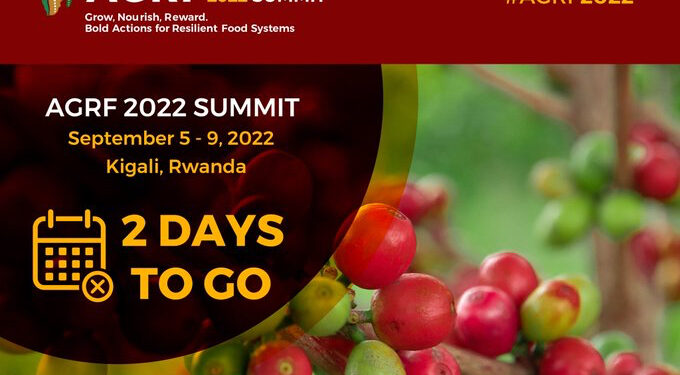 Activists urge end to the failed Green Revolution in Africa