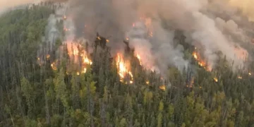 Climate change impacts ‘heading into uncharted territory’, warns UN chief