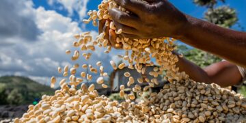 Agro-exports make a turnaround 2021/22