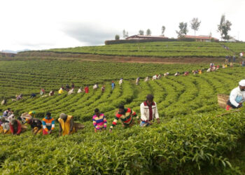 President Kagame in Mozambique for state visit