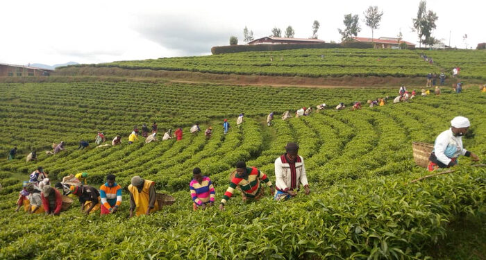 President Kagame in Mozambique for state visit