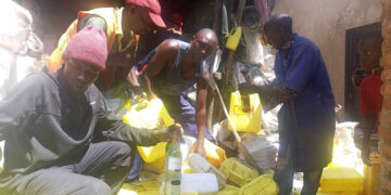 Mitigating Environmental Degradation through Collecting Plastics