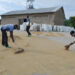 COOPRORIZ Abahuzabikorwa: Boosting rice production in Kamonyi