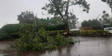 COP 27: Rwanda rallies African position in approaching justice through loss and damage finance