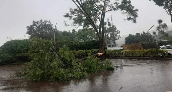 COP 27: Rwanda rallies African position in approaching justice through loss and damage finance