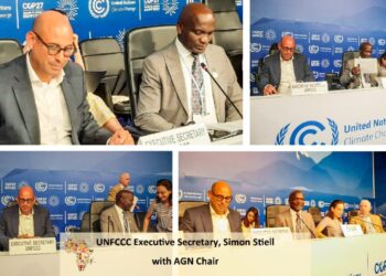 COP27: Expectations running high on Africa to implement climate actions