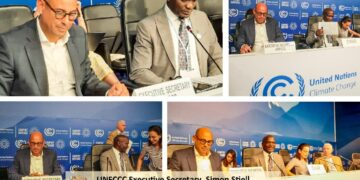 COP27: Expectations running high on Africa to implement climate actions