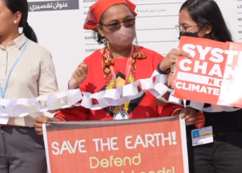 COP27: Egyptian FM commends civil society’s crucial role in Climate negotiations