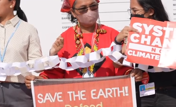 COP27: Egyptian FM commends civil society’s crucial role in Climate negotiations