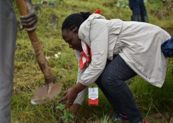 WHO recommends ‘mpox’ as new name for monkeypox